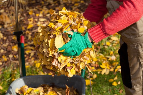 Professional furniture removal service in Hornsey